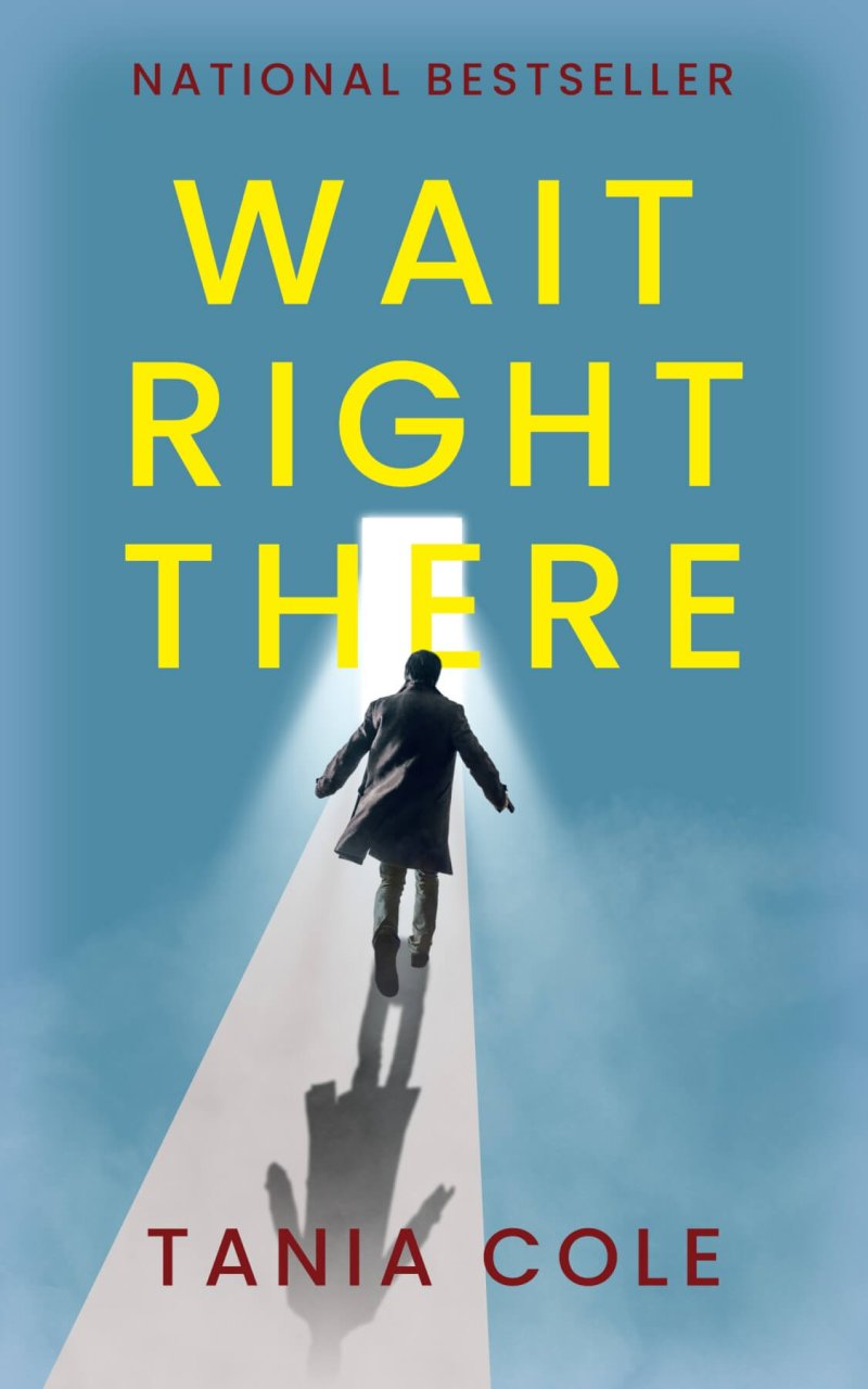 Wait Right There – A Fun Mystery or Suspense Cover