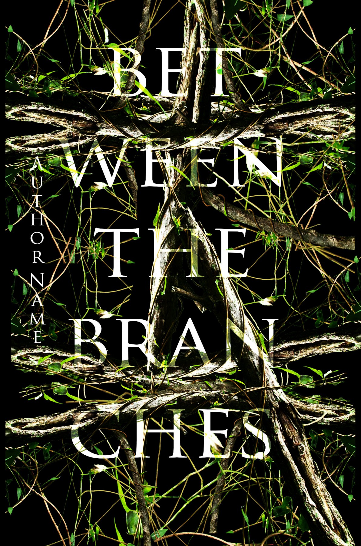 Branches