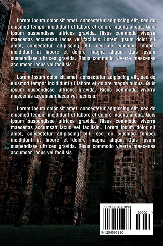 Desolation - Book Cover - Mystery | Spiritual | Fantasy - Image 3